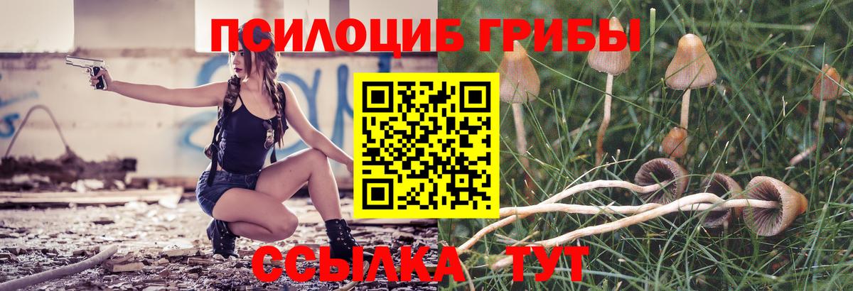 Галлюциногенные грибы GOLDEN TEACHER Зима